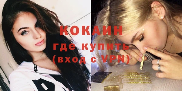 сатива Пересвет